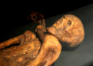 reconstruction Ötzi mummy Prehistory Museum Quinson, CC-BY-SA 120